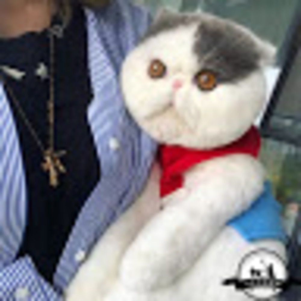 Meet your Posher, Cc